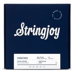 Stringjoy 5-String Long Scale Nickel Roundwound Bass Guitar Strings Front View